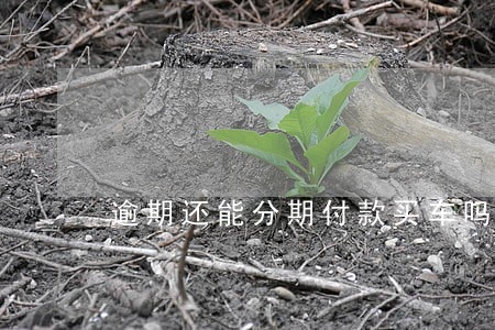 逾期还能分期付款买车吗 逾期还能分期付款买车吗