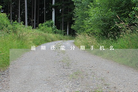 逾期还能分期手机么 逾期还能分期手机么