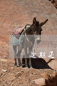 逾期还能办叮咚信用卡吗