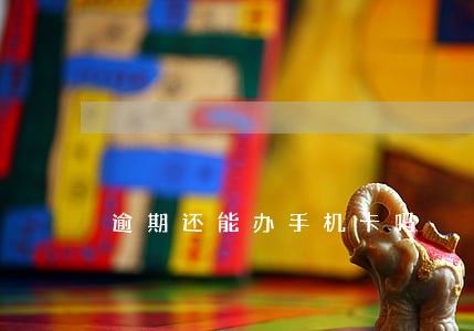 逾期还能办手机卡吗 逾期还能办手机卡吗
