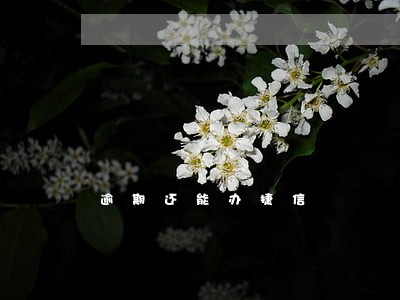 逾期还能办捷信 逾期还能办捷信