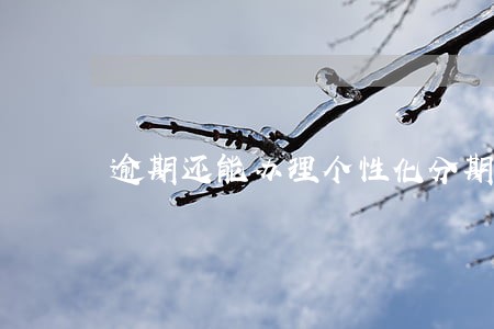 逾期还能办理个性化分期么 逾期还能办理个性化分期么