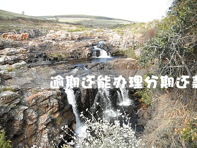 逾期还能办理分期还款 逾期还能办理分期还款