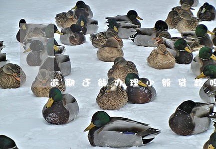 逾期还能办理小额贷款吗 逾期还能办理小额贷款吗