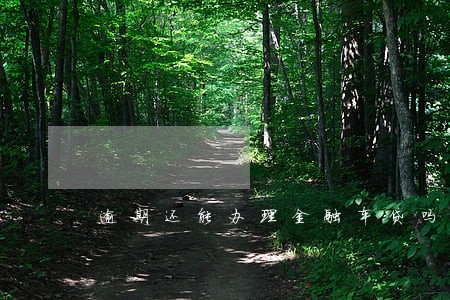 逾期还能办理金融车贷吗 逾期还能办理金融车贷吗
