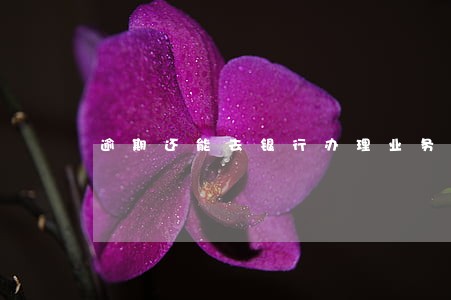 逾期还能去银行办理业务吗 逾期还能去银行办理业务吗