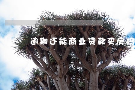 逾期还能商业贷款买房吗 逾期还能商业贷款买房吗