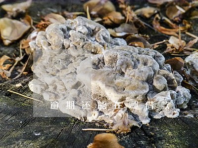 逾期还能在哪借款 逾期还能在哪借款