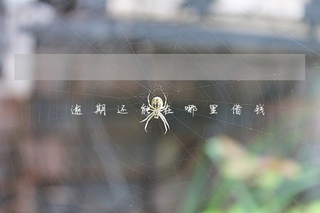 逾期还能在哪里借钱 逾期还能在哪里借钱