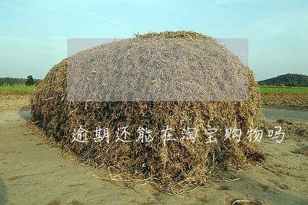 逾期还能在淘宝购物吗