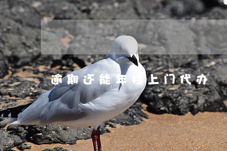 逾期还能年检上门代办 逾期还能年检上门代办