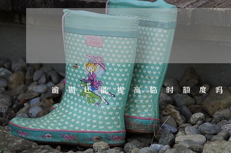 逾期还能提高临时额度吗 逾期还能提高临时额度吗