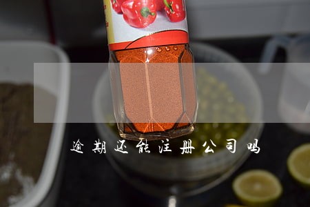 逾期还能注册公司吗 逾期还能注册公司吗