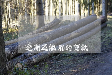 逾期还能用的贷款 逾期还能用的贷款