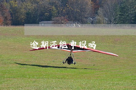 逾期还能申报吗 逾期还能申报吗