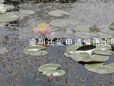 逾期还能申请信用卡吗6