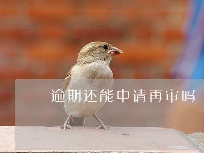 逾期还能申请再审吗 逾期还能申请再审吗