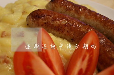 逾期还能申请分期吗 逾期还能申请分期吗