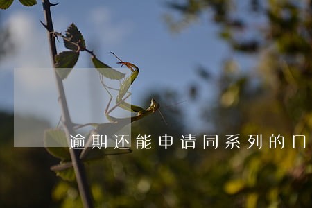 逾期还能申请同系列的口子吗 逾期还能申请同系列的口子吗