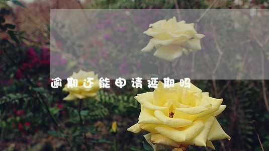 逾期还能申请延期吗 逾期还能申请延期吗