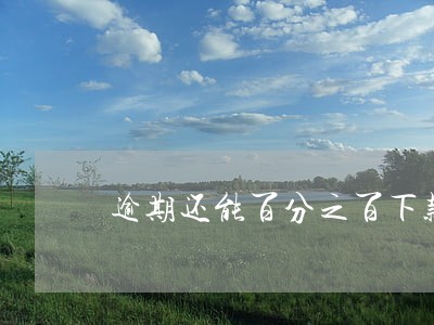 逾期还能百分之百下款的 逾期还能百分之百下款的