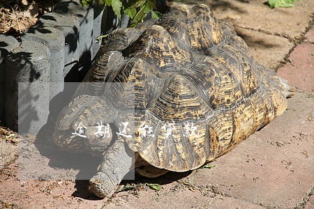 逾期还能贷款 逾期还能贷款