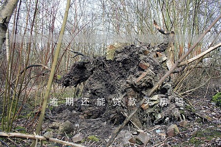 逾期还能贷款买房吗 逾期还能贷款买房吗