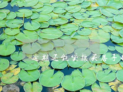 逾期还能贷款买房子吗 逾期还能贷款买房子吗