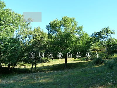 逾期还能贷款买车 逾期还能贷款买车