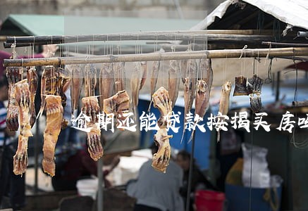 逾期还能贷款按揭买房吗 逾期还能贷款按揭买房吗