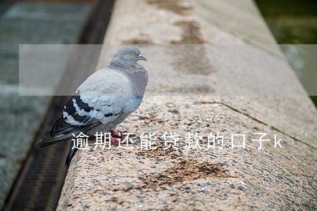逾期还能贷款的口子k 逾期还能贷款的口子k