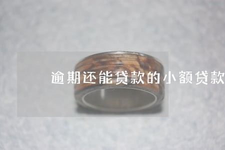 逾期还能贷款的小额贷款网站 逾期还能贷款的小额贷款网站