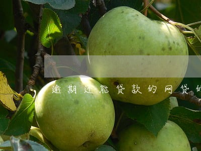 逾期还能贷款的网贷的 逾期还能贷款的网贷的