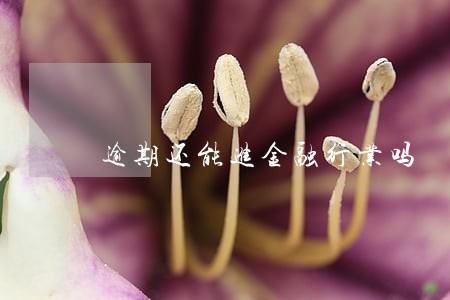 逾期还能进金融行业吗 逾期还能进金融行业吗