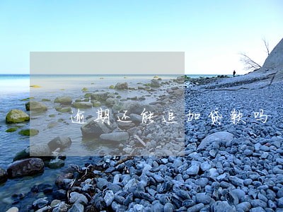 逾期还能追加贷款吗