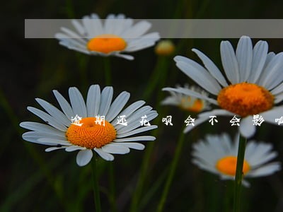逾期还花呗会不会影响征信 逾期还花呗会不会影响征信