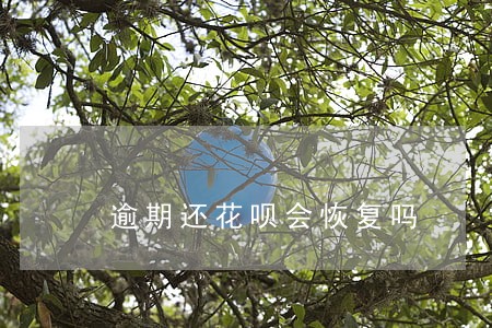 逾期还花呗会恢复吗 逾期还花呗会恢复吗