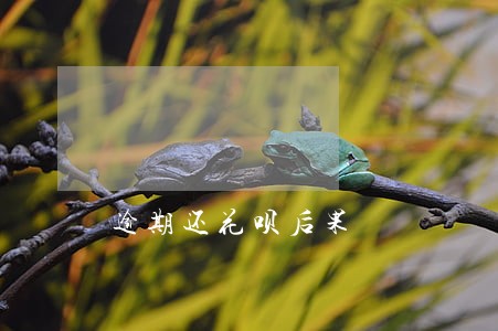 逾期还花呗后果 逾期还花呗后果