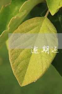 逾期还花呗恢复 逾期还花呗恢复
