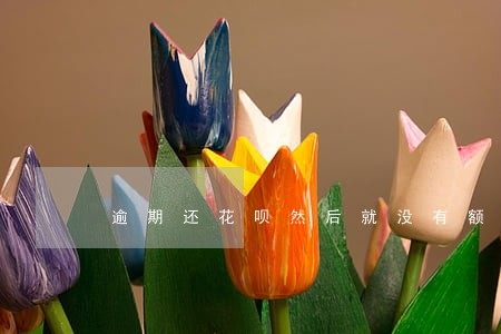 逾期还花呗然后就没有额度了 逾期还花呗然后就没有额度了