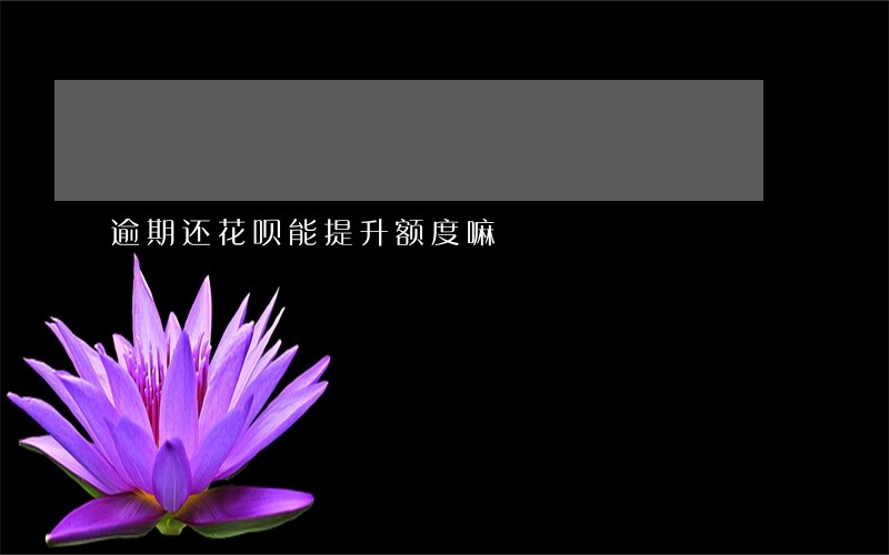 逾期还花呗能提升额度嘛 逾期还花呗能提升额度嘛