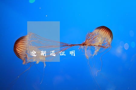 逾期还证明