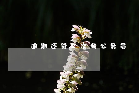 逾期还贷2次考公务员 逾期还贷2次考公务员