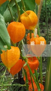 逾期还贷一天影响信用吗 逾期还贷一天影响信用吗