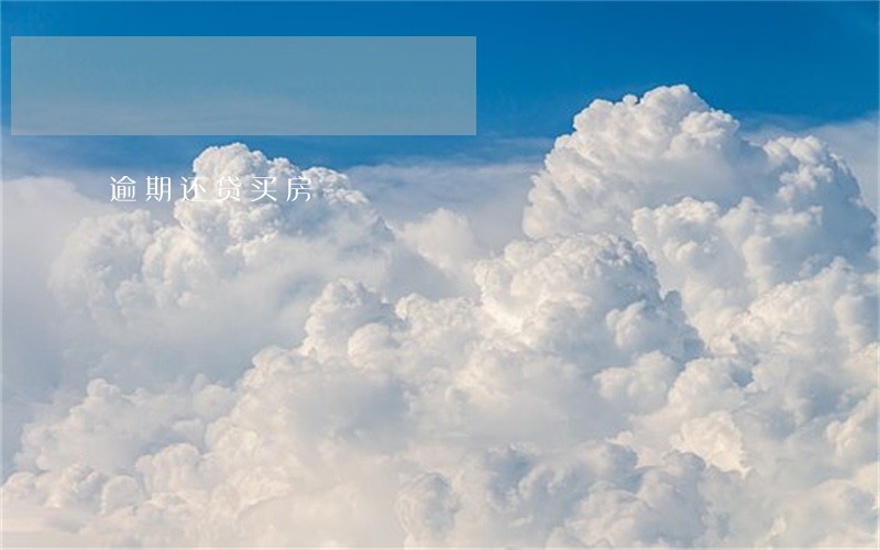 逾期还贷买房