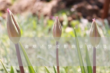 逾期还贷会影响征信记录吗