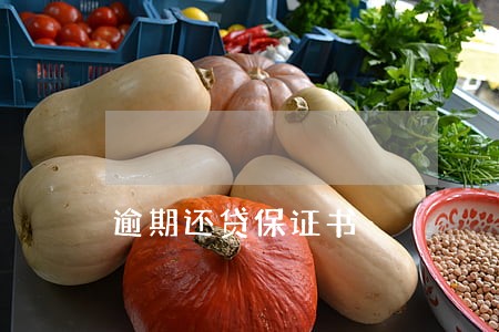 逾期还贷保证书 逾期还贷保证书