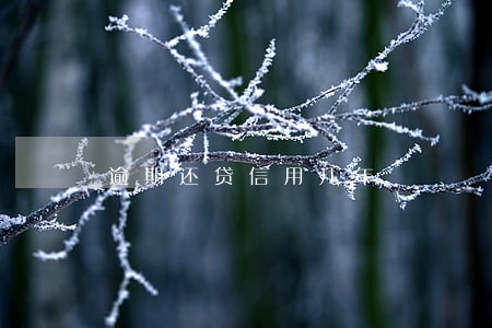 逾期还贷信用几年 逾期还贷信用几年