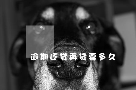 逾期还贷再贷要多久 逾期还贷再贷要多久