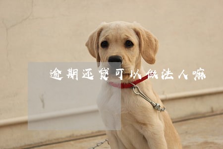 逾期还贷可以做法人嘛 逾期还贷可以做法人嘛